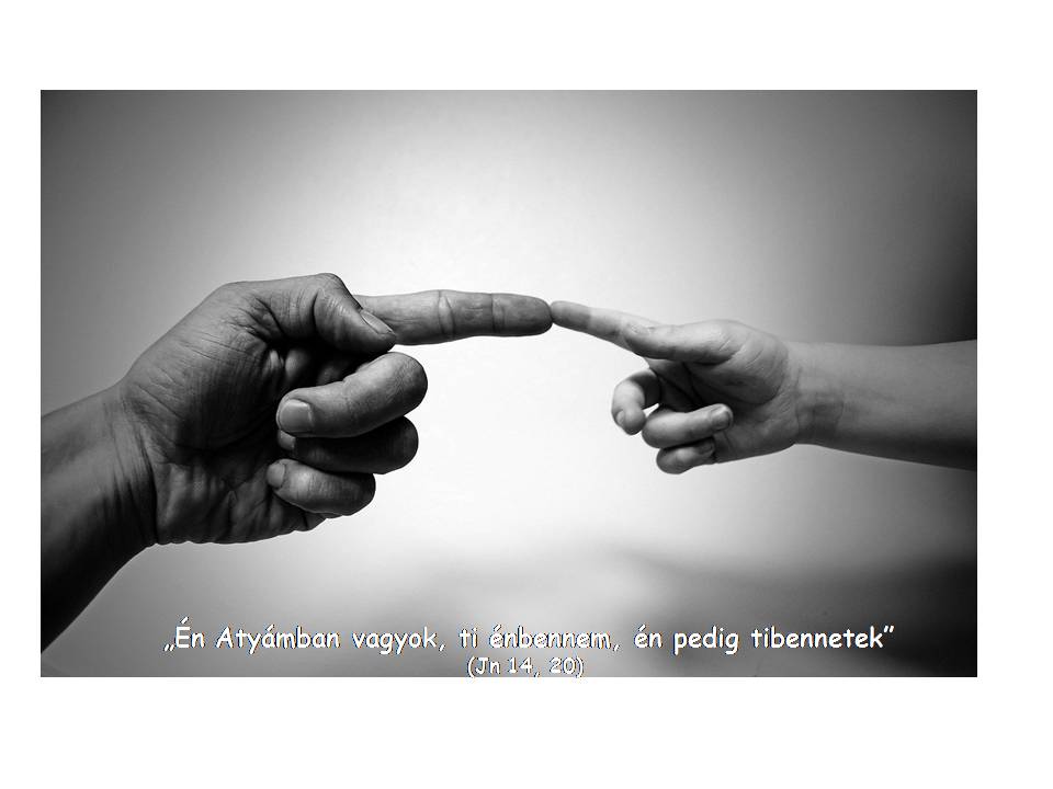 Egyseg